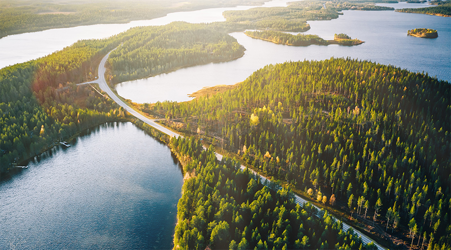 Kuvituskuva, jossa maantie halkoo metsää järvimaisemassa auringonpaisteessa.