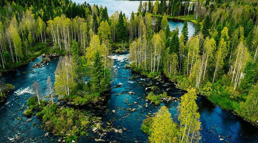 Aerial view of fast river in beautiful green spring forest in Finland