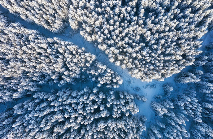 Ilmasto otettu kuva talvisesta metsästä ja tiestä Suomessa